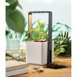 LUSHLET - Inomhusträdgård med LED-ljus - Bild 4