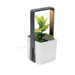 LUSHLET - Inomhusträdgård med LED-ljus - Bild 9