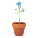 FORGET ME NOT - Terracotta skål "forget me not" - Bild 5