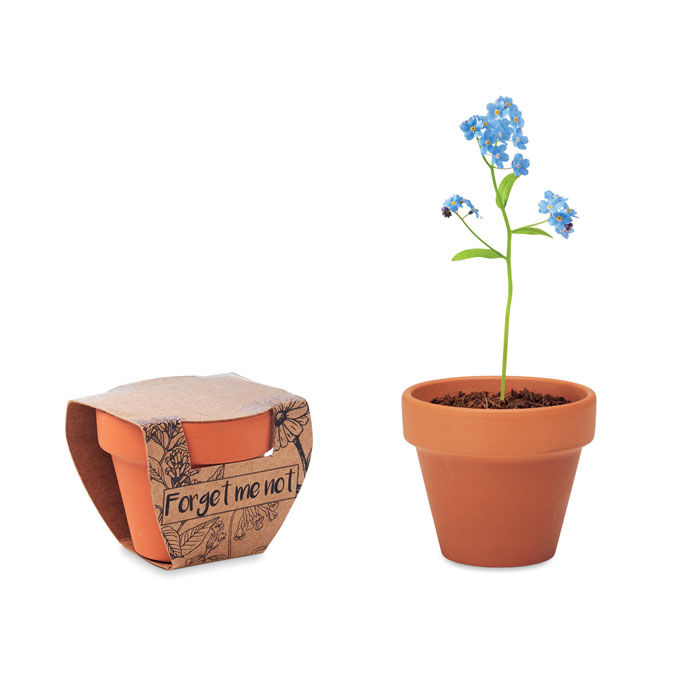 mo6146-40.jpg FORGET ME NOT - Terracotta skål "forget me not" - Bild 1