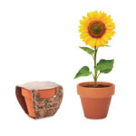 SUNFLOWER - Terracotta skål "sunflower"