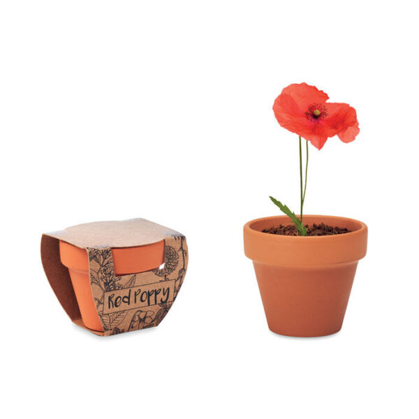 RED POPPY - Terracotta skål "poppy"
