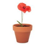 RED POPPY - Terracotta skål "poppy" - Bild 4