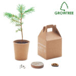 GROWTREE™ - Pappersset av furu