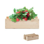 STRAWBERRY - Jordgubbskit i trälåda