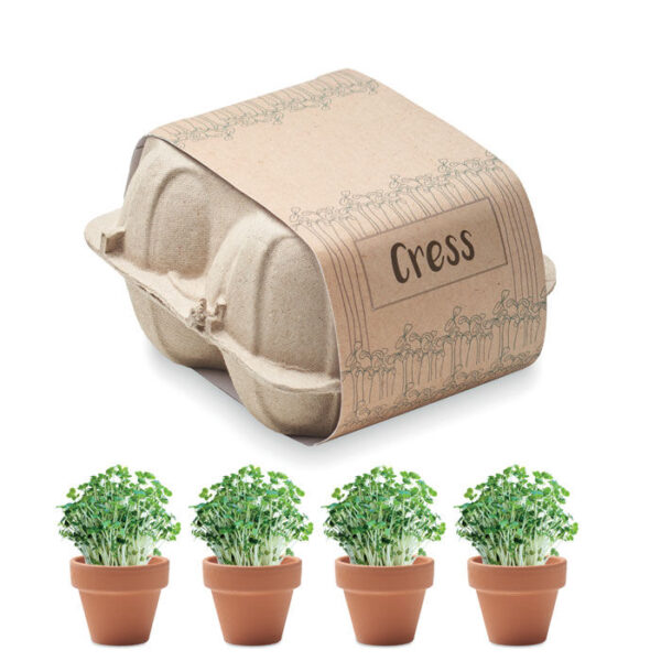CRESS - Odlingssats i äggkartong