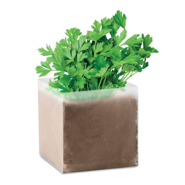 PARSELY - Kruka med Persilja
